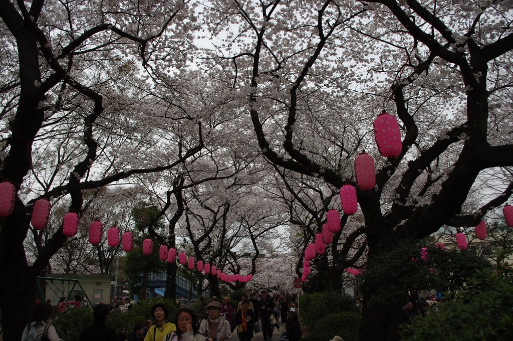 ⛩️ 신이산 매조원 (아라이산 바이쇼인) 이미지 11